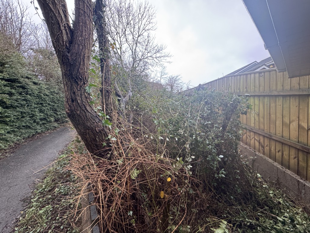 Lot: 95 - FREEHOLD LAND - View of land